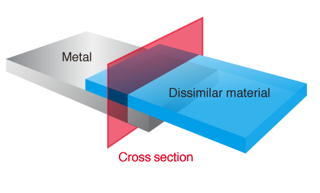 The Mechanism of DLAMP